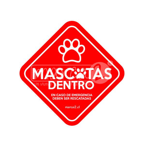Autos Marca2: Mascotas dentro del auto - Marca2