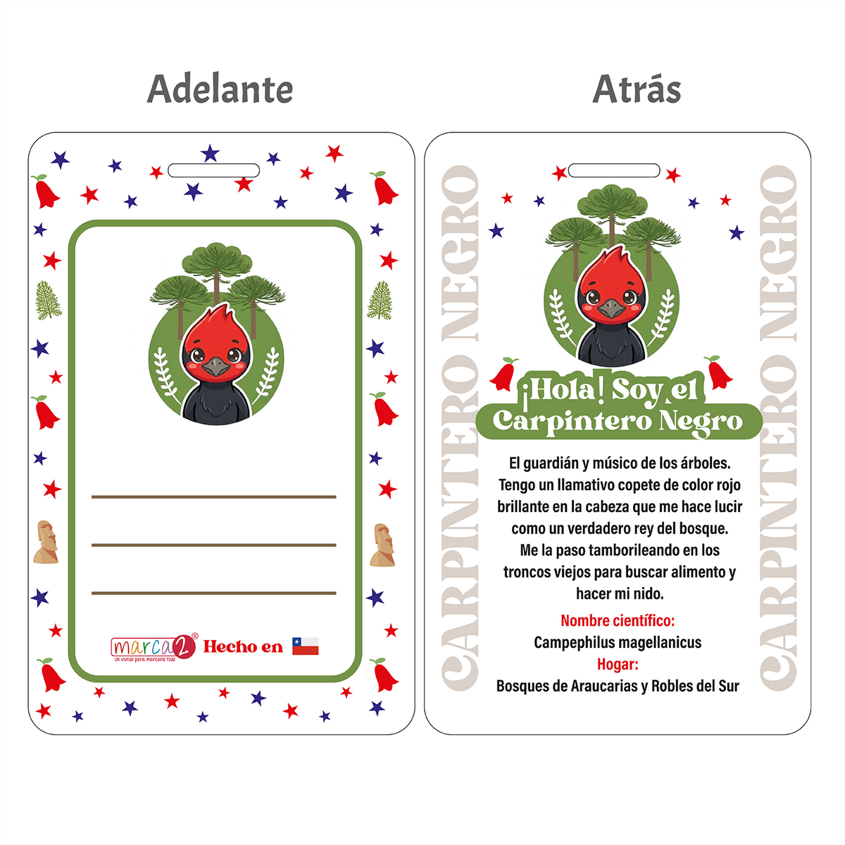 Identificador de Mochila Personalizado — Fauna Chilena 🇨🇱🐾