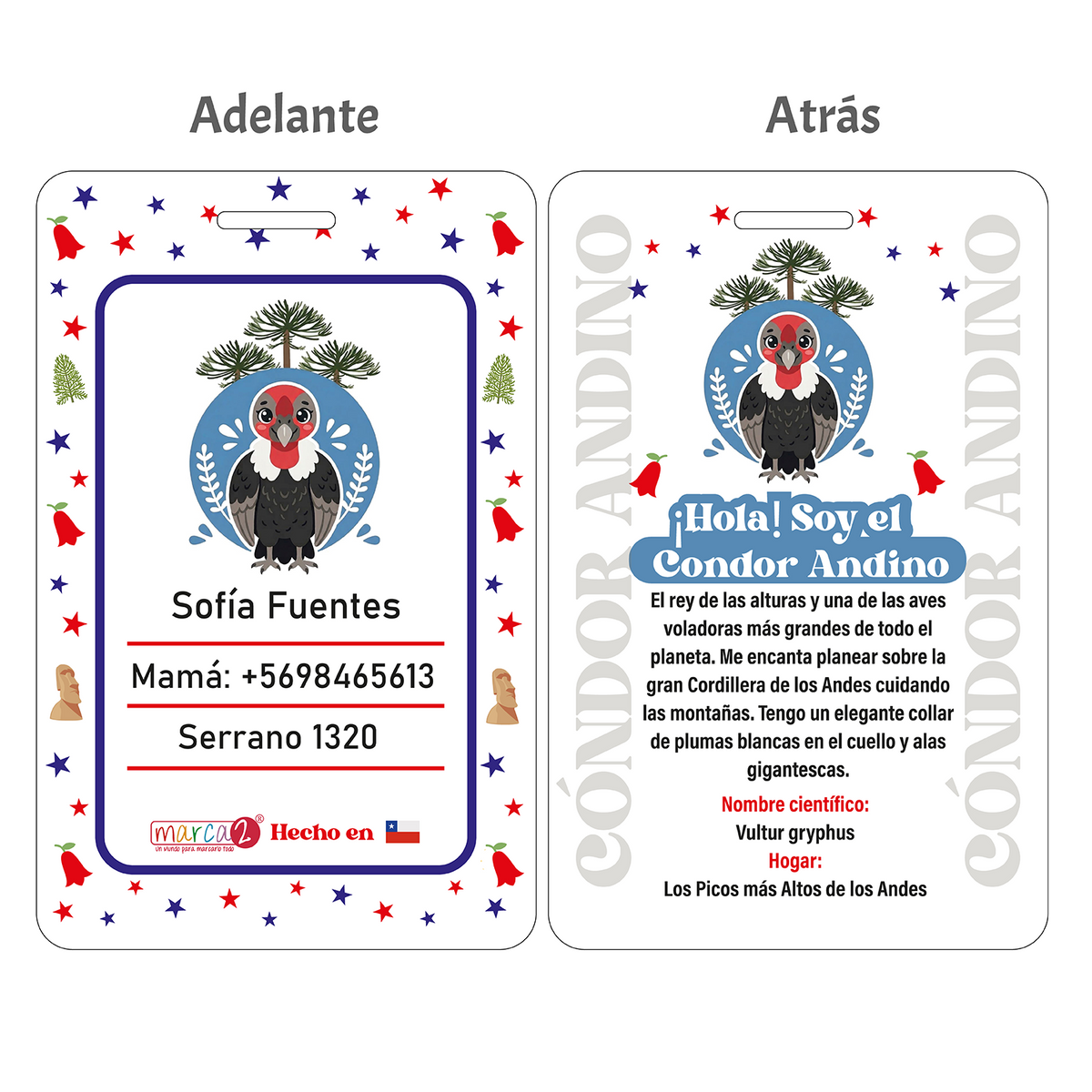 Identificador de Mochila Personalizado — Fauna Chilena 🇨🇱🐾