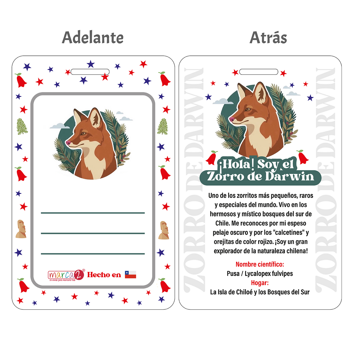 Identificador de Mochila Personalizado — Fauna Chilena 🇨🇱🐾
