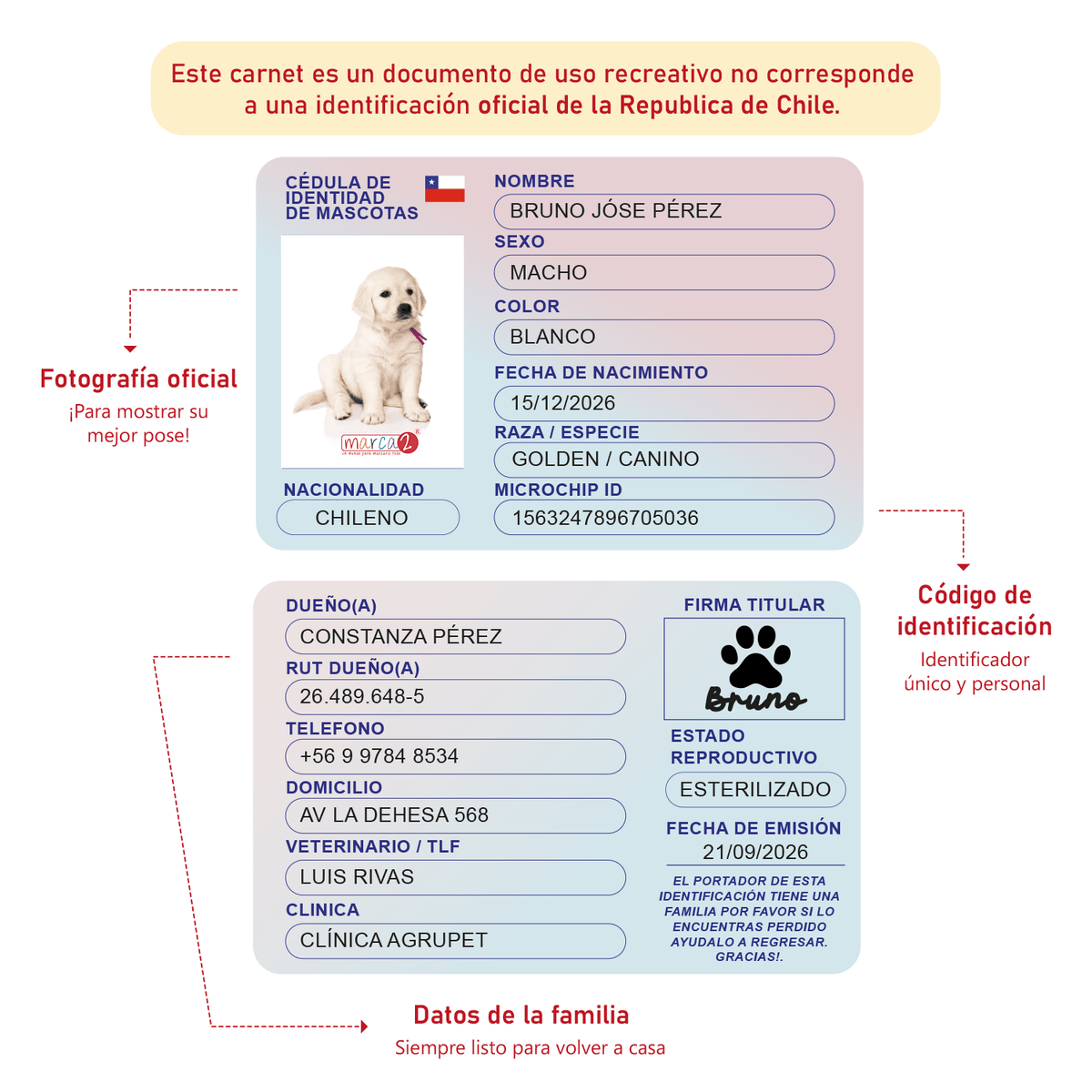 Carnet de Identidad Personalizado para Mascotas — Formato Tarjeta 🐾 - Marca2