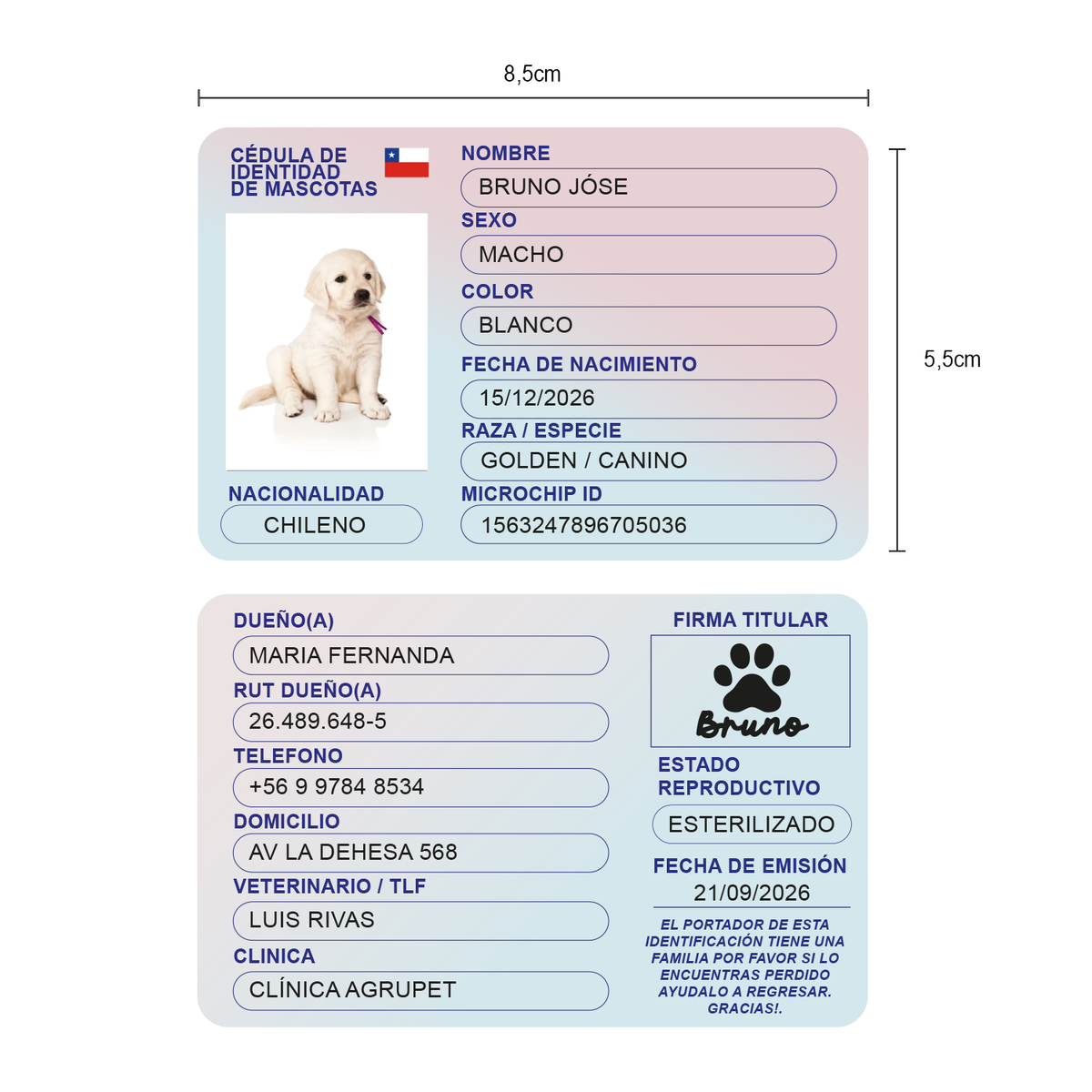 Carnet de Identidad Personalizado para Mascotas — Formato Tarjeta 🐾