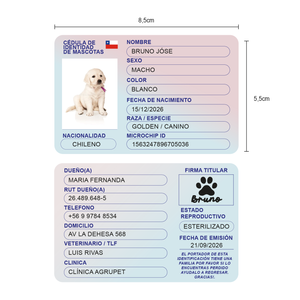 canet de perro medidas