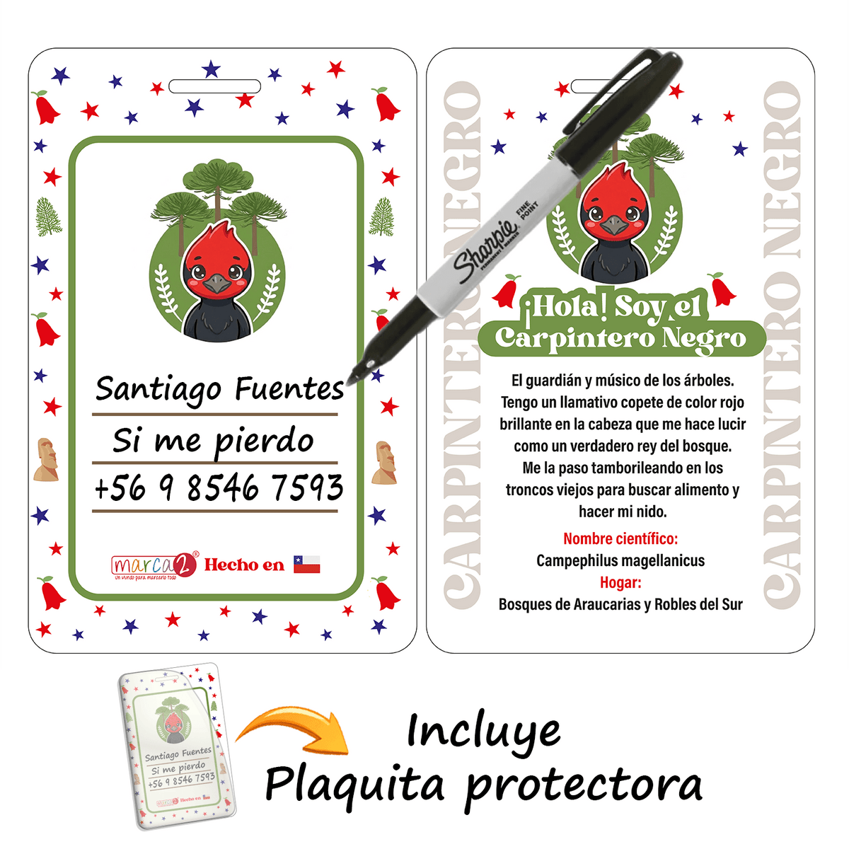 Colgante Identificador Sin Personalizar — Fauna Chilena 🐾 Entrega Express - Marca2