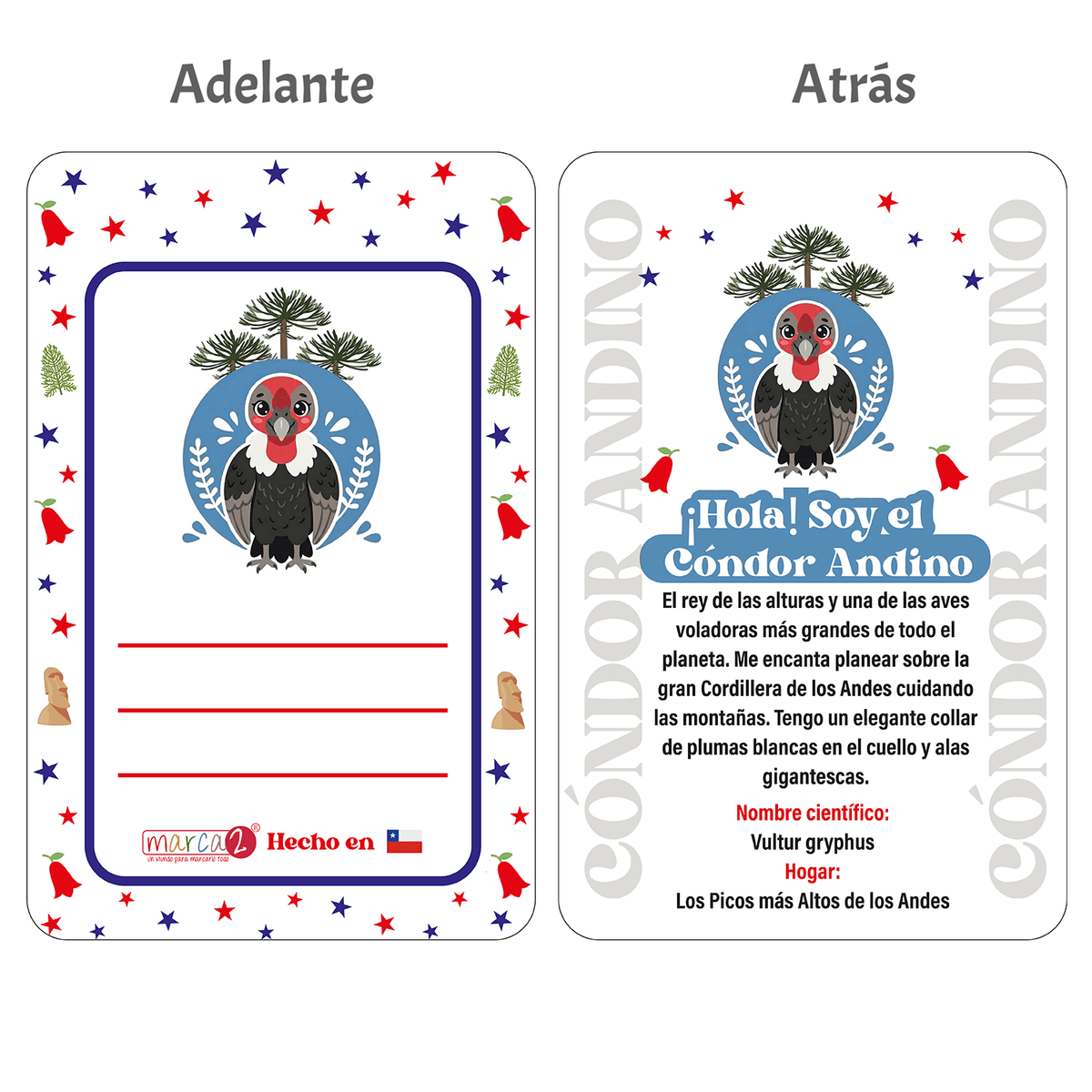 Colgante Identificador Sin Personalizar — Fauna Chilena 🐾 Entrega Express - Marca2