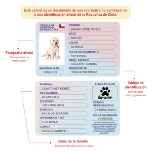 Carnet de Identidad Personalizado para Mascotas — Formato Tarjeta 🐾