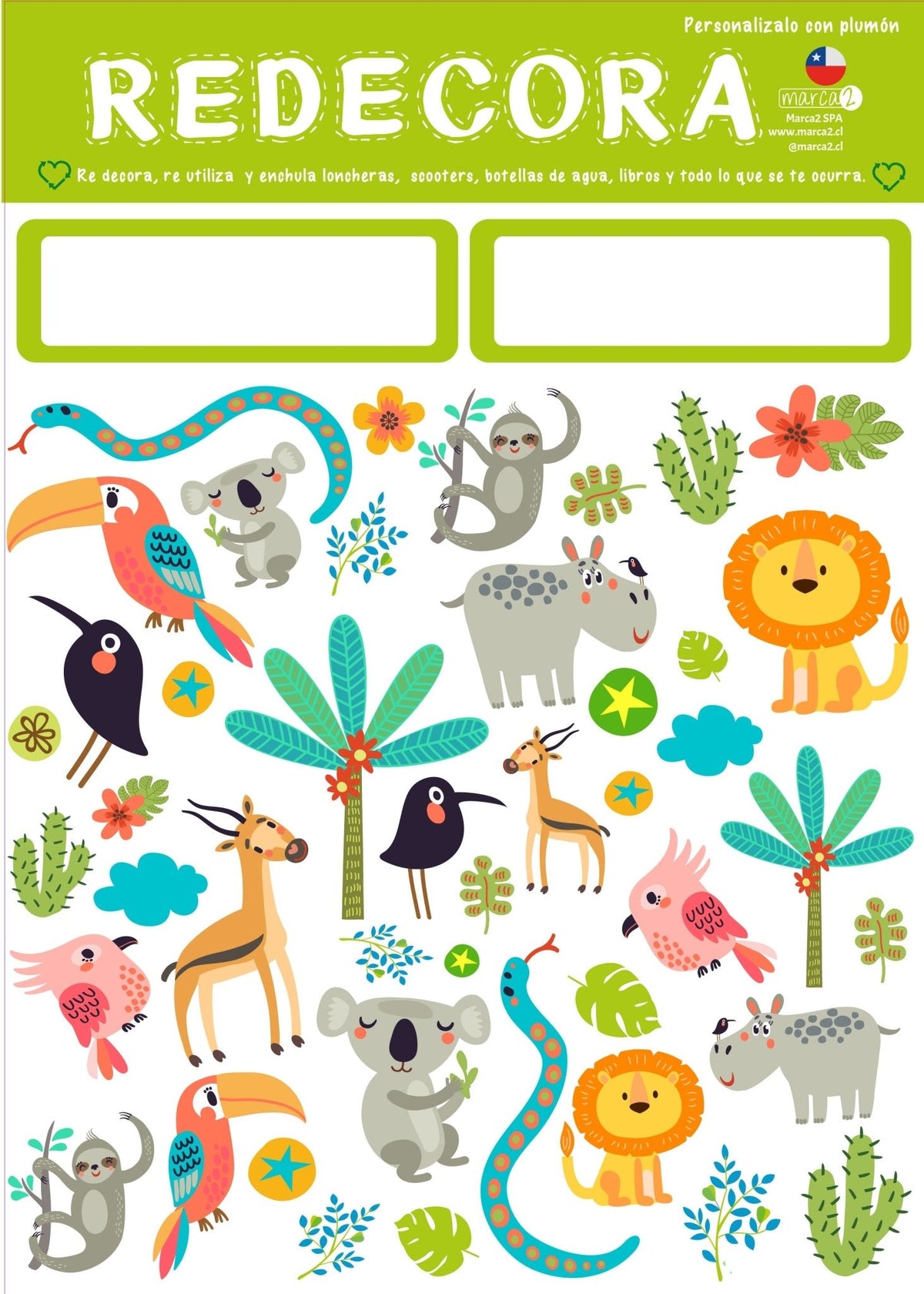 Regalo para cumpleaños: Botella + stickers redecora DIY - Marca2