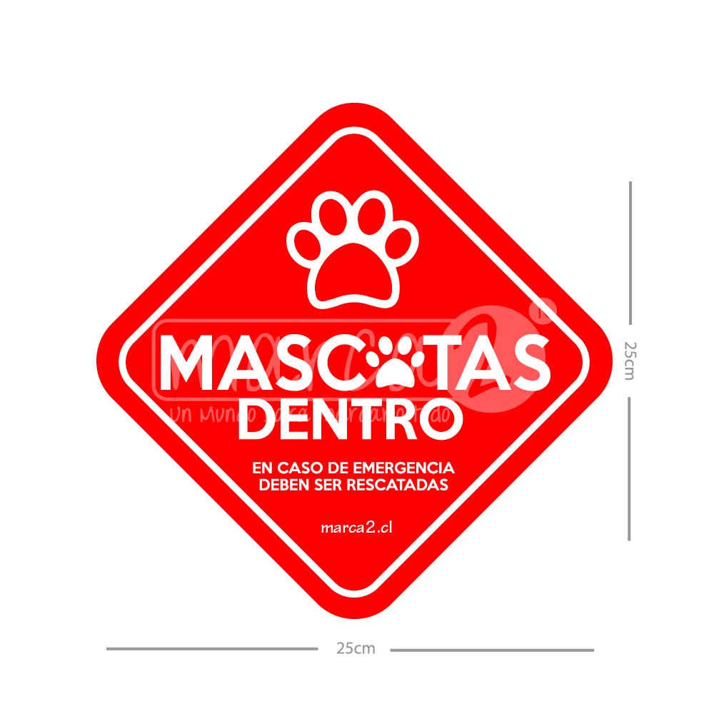 Autos Marca2: Mascotas dentro del auto - Marca2