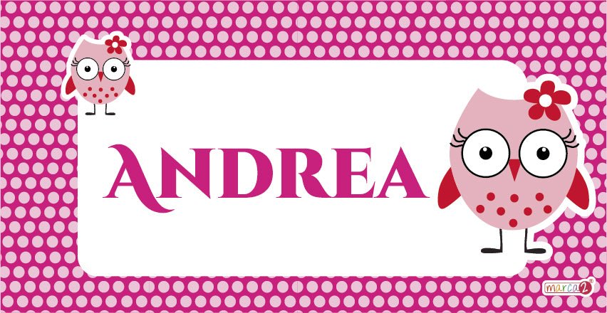 Diseño Buha rosada. Cuadritos infantiles personalizados.  Medida: 30 x 15 cm.  Cuadritos con diferentes diseños para decorar dormitorios, salitas y puertas de niños, niñas y adolescentes. Son de material rigido y muy duradero. Marca2 desde 2011. Enviamos a todo Chile.